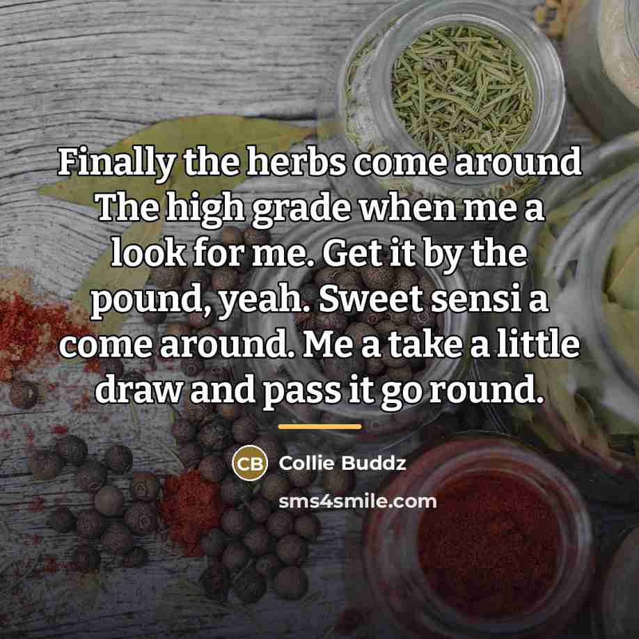 “Finally the herbs come around The high grade when me…” quote by Collie Buddz