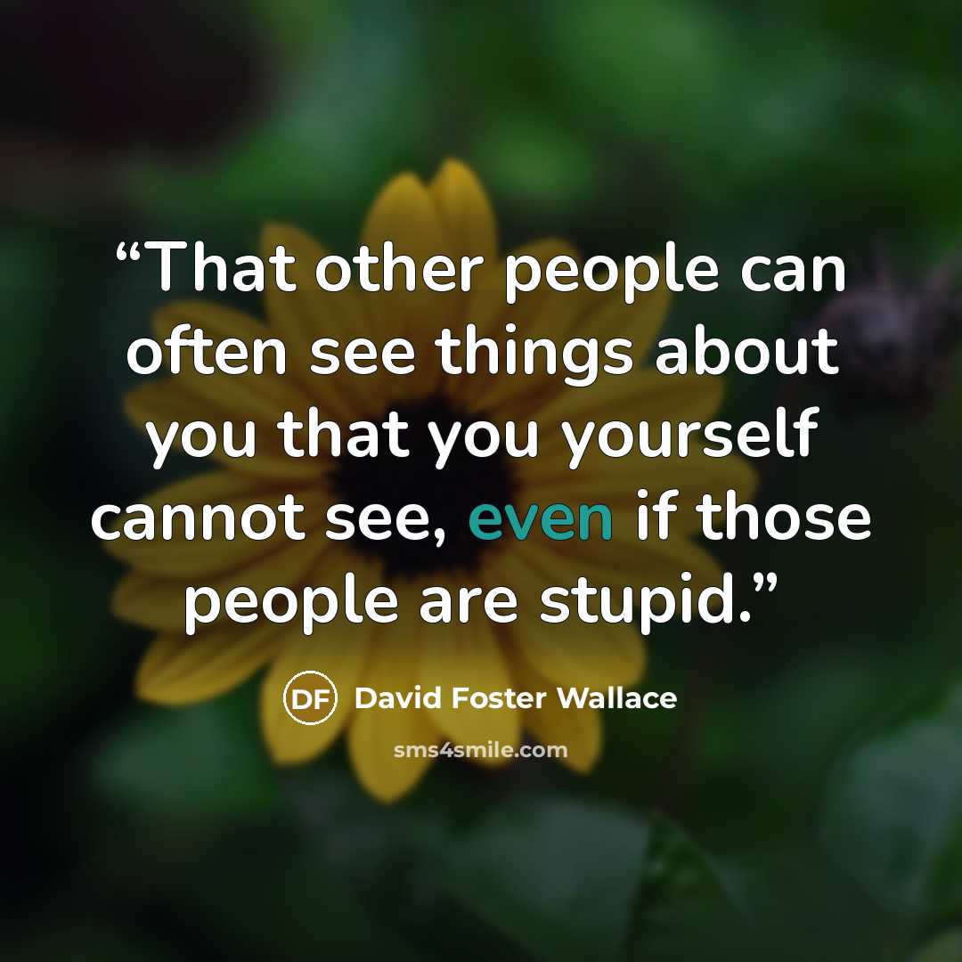 “That other people can often see things about you that you yourself cannot see, even if those people are stupid.” quote by David Foster Wallace