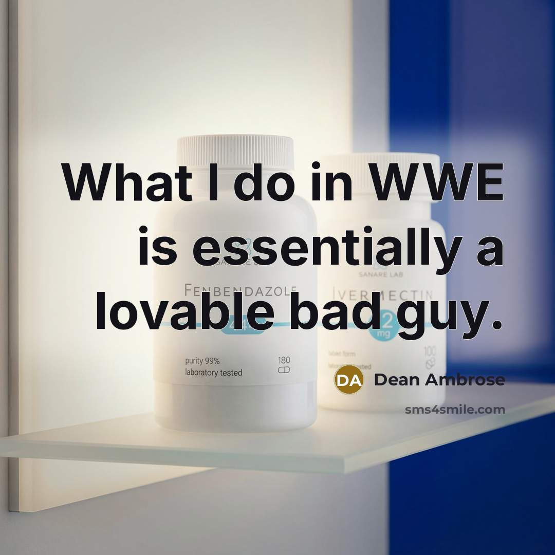 “What I do in WWE is essentially a lovable bad…” quote by Dean Ambrose