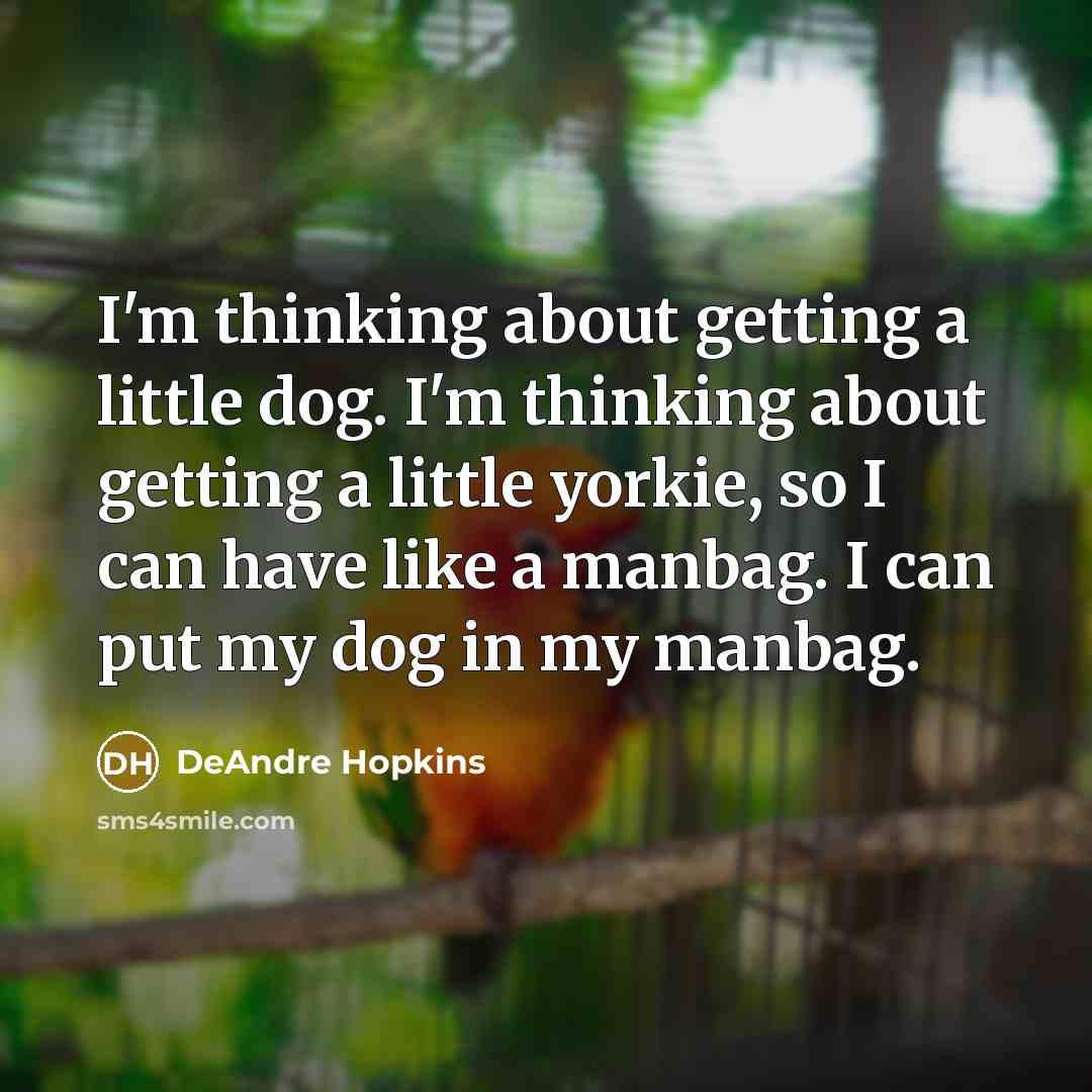 “I'm thinking about getting a little dog. I'm thinking about…” quote by DeAndre Hopkins