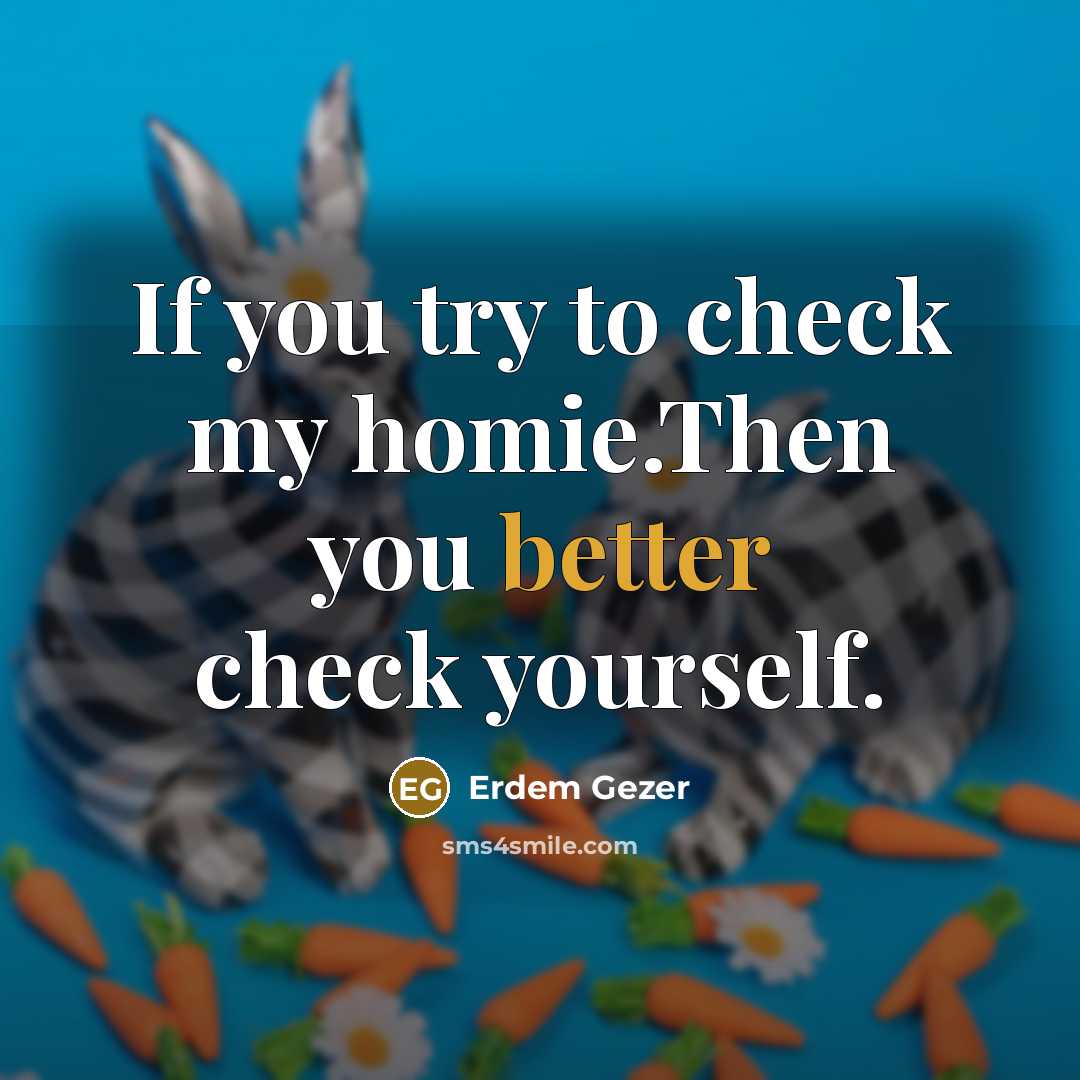 “If you try to check my homie.Then you better check yourself.” quote by Erdem Gezer
