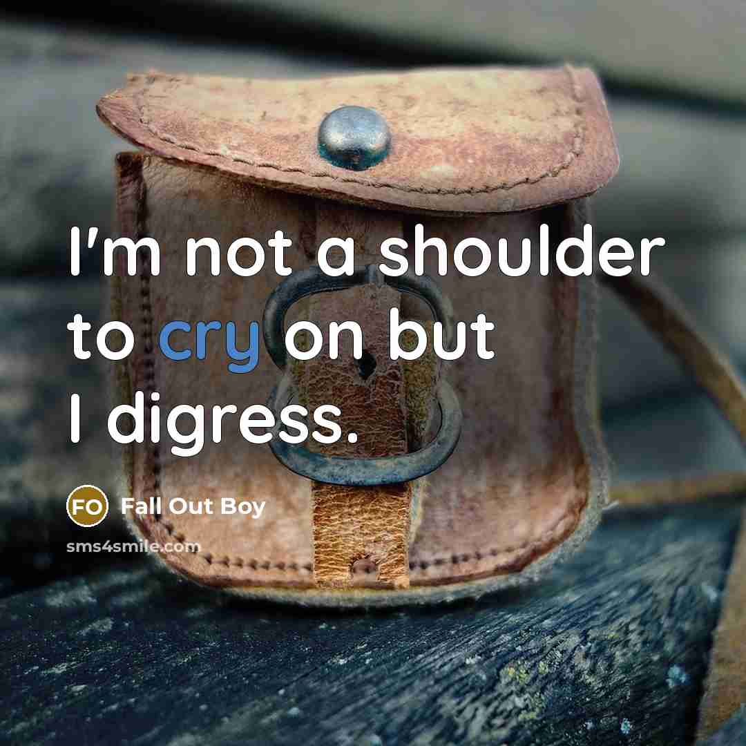 “I'm not a shoulder to cry on but I digress.…” quote by Fall Out Boy