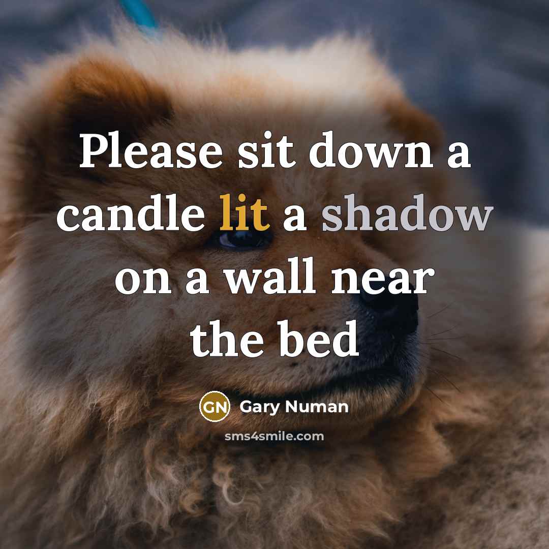 “Please sit down a candle lit a shadow on a wall near the bed” quote by Gary Numan