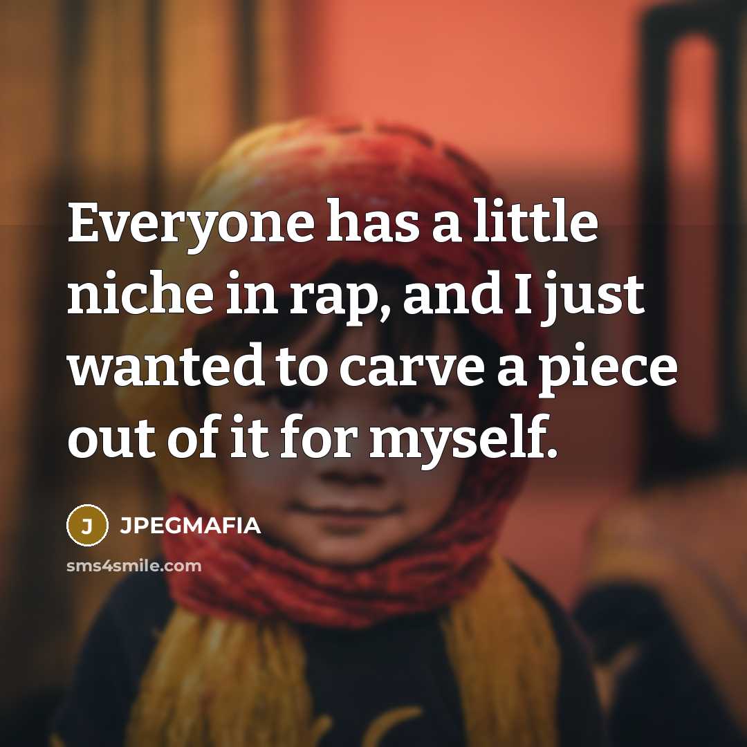“Everyone has a little niche in rap, and I just…” quote by JPEGMAFIA