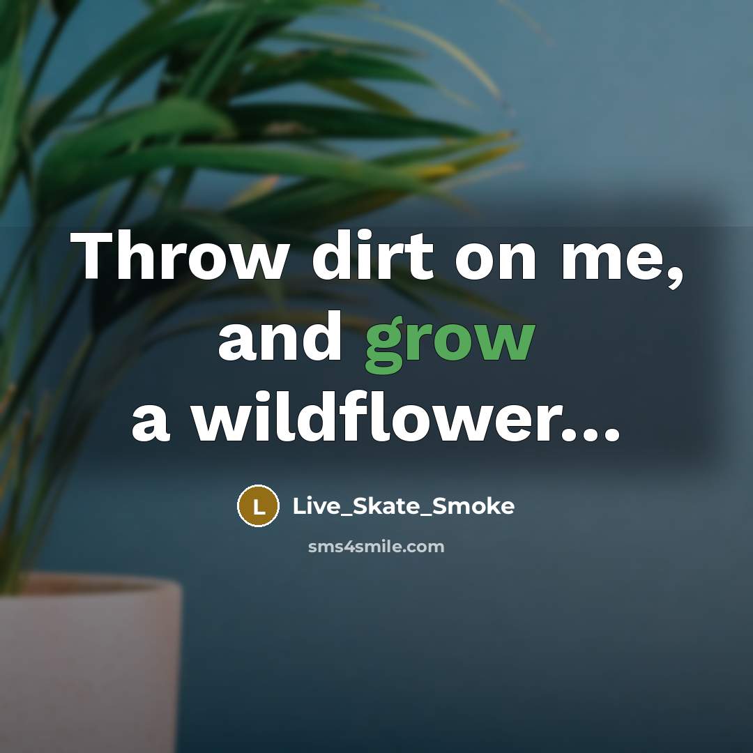“Throw dirt on me, and grow a wildflower…” quote by Live_Skate_Smoke