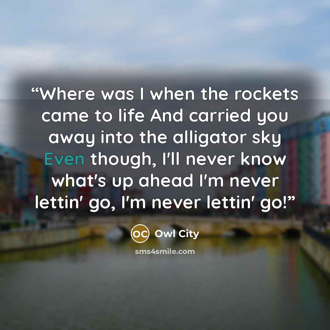 “Where was I when the rockets came to life And carried you away into the alligator sky Even though, I'll never know what's up ahead I'm never lettin' go, I'm never lettin' go!” quote by Owl City