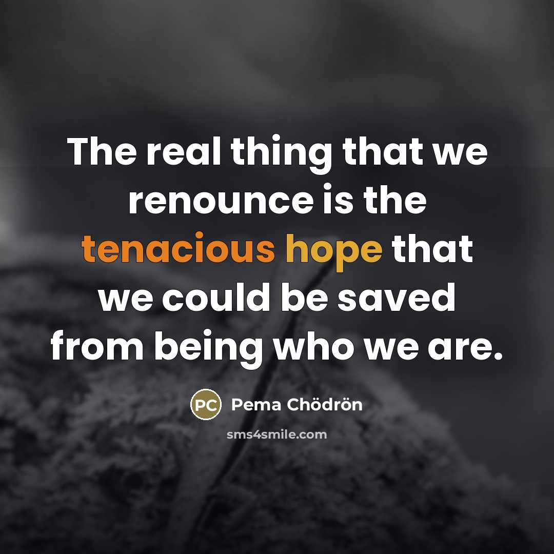 “The real thing that we renounce is the tenacious hope…” quote by Pema Chodron