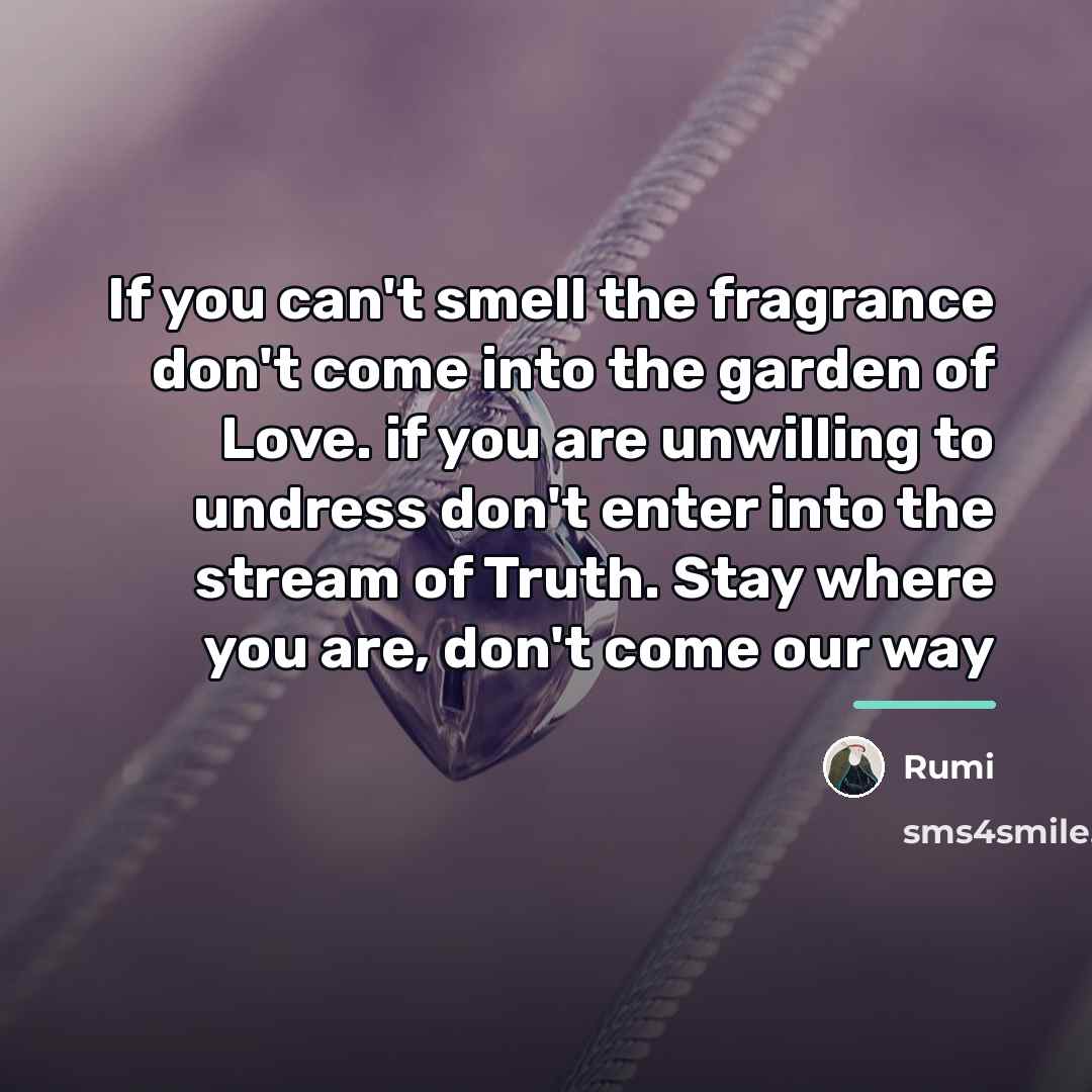 “If you can't smell the fragrance don't come into the…” quote by Rumi