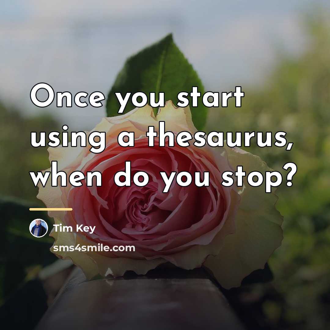 “Once you start using a thesaurus, when do you stop?…” quote by Tim Key