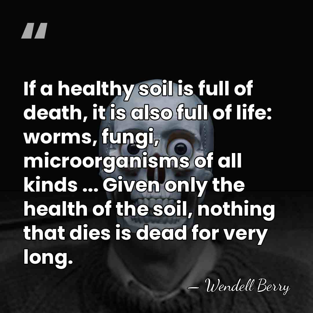 If a healthy soil is full of death, it is also full&hellip; - Wendell Berry