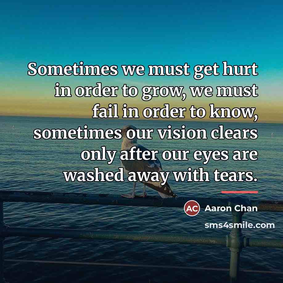 “Sometimes we must get hurt in order to grow, we…” quote by Aaron Chan