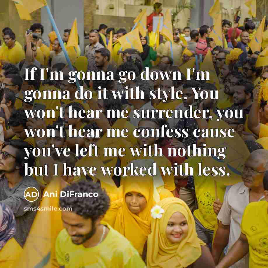 “If I'm gonna go down I'm gonna do it with…” quote by Ani DiFranco