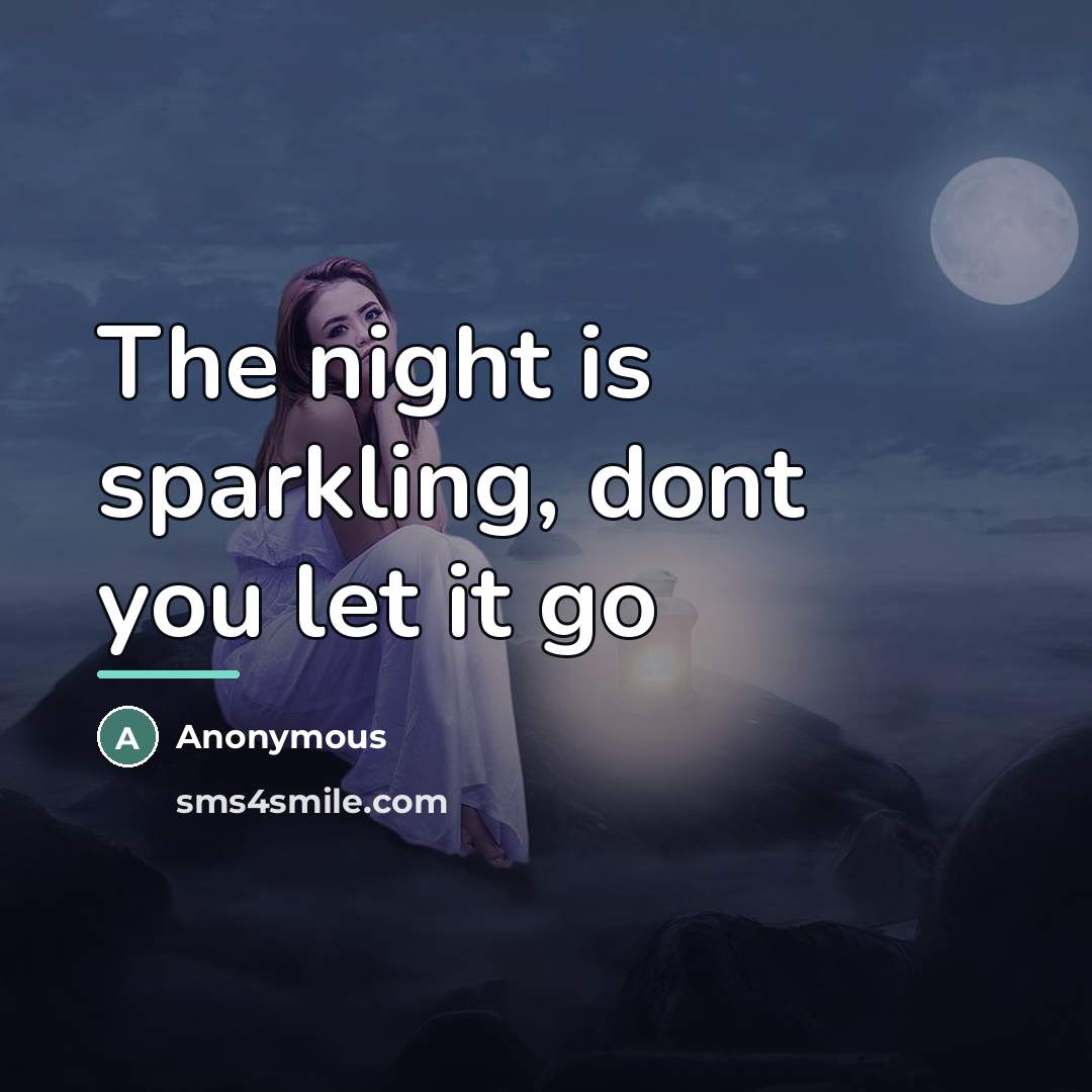 “The night is sparkling, dont you let it go…” quote by Anonymous