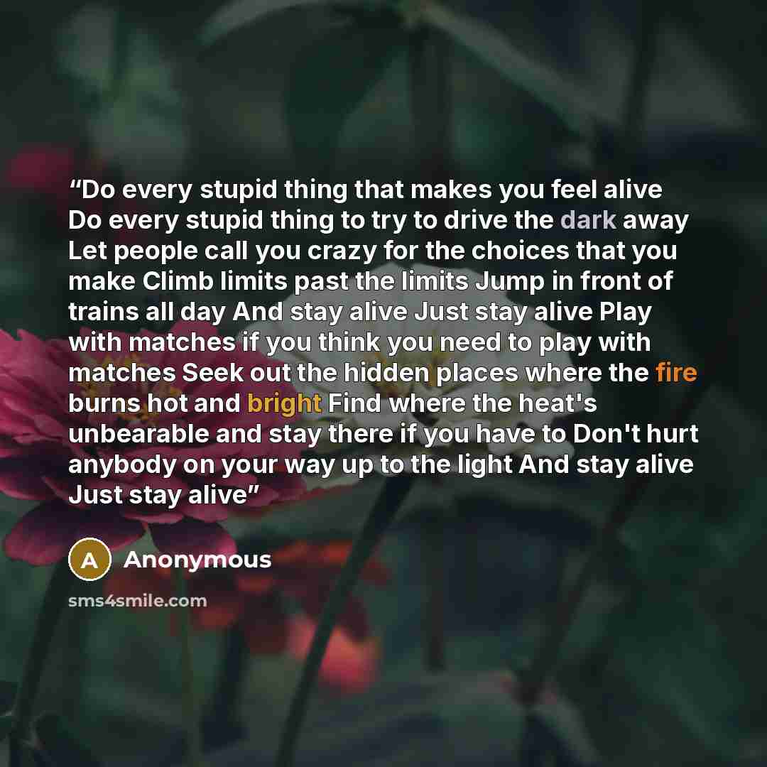“Do every stupid thing that makes you feel alive Do every stupid thing to try to drive the dark away Let people call you crazy for the choices that you make Climb limits past the limits Jump in front of trains all day And stay alive Just stay alive Play with matches if you think you need to play…” quote by Anonymous