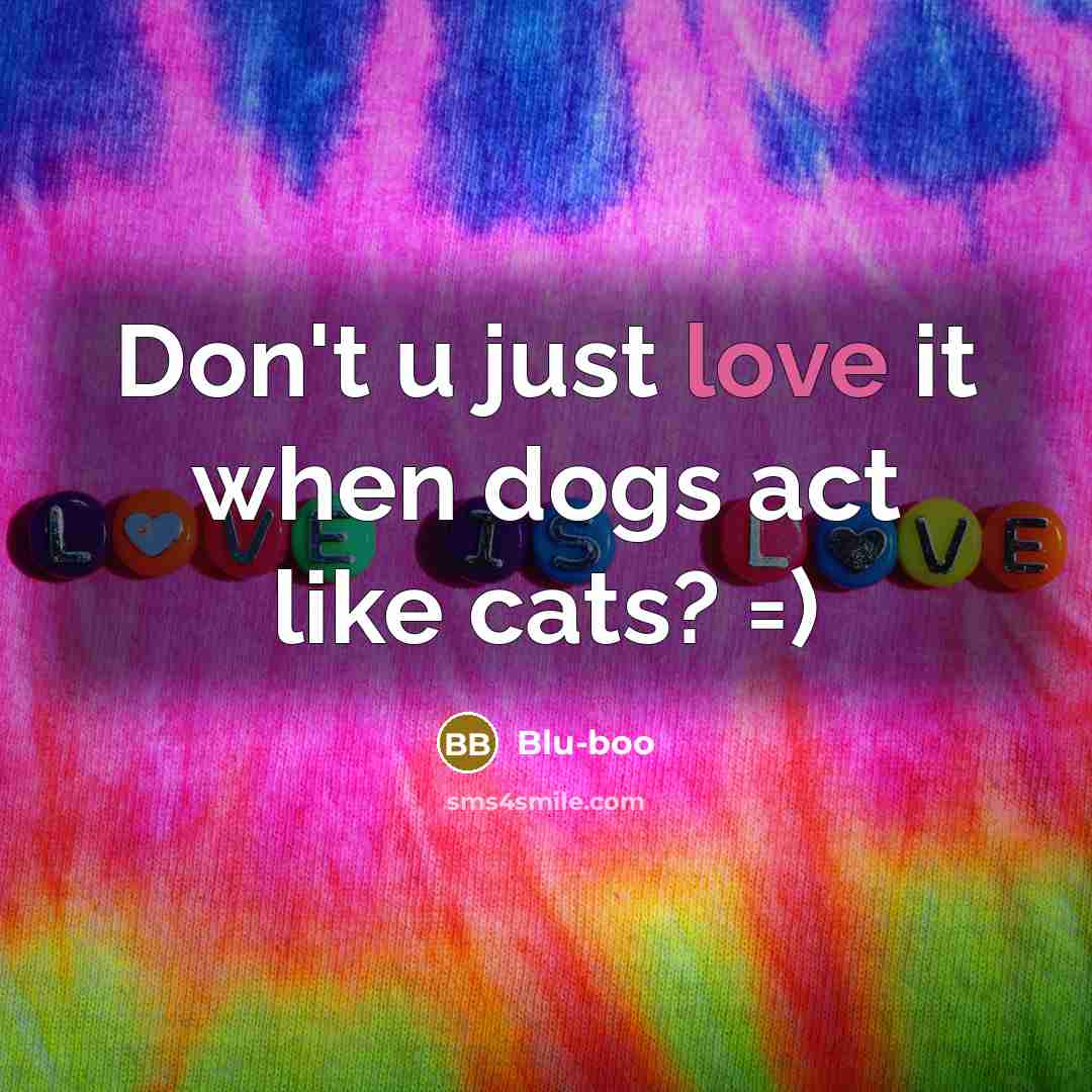“Don't u just love it when dogs act like cats?…” quote by Blu-boo