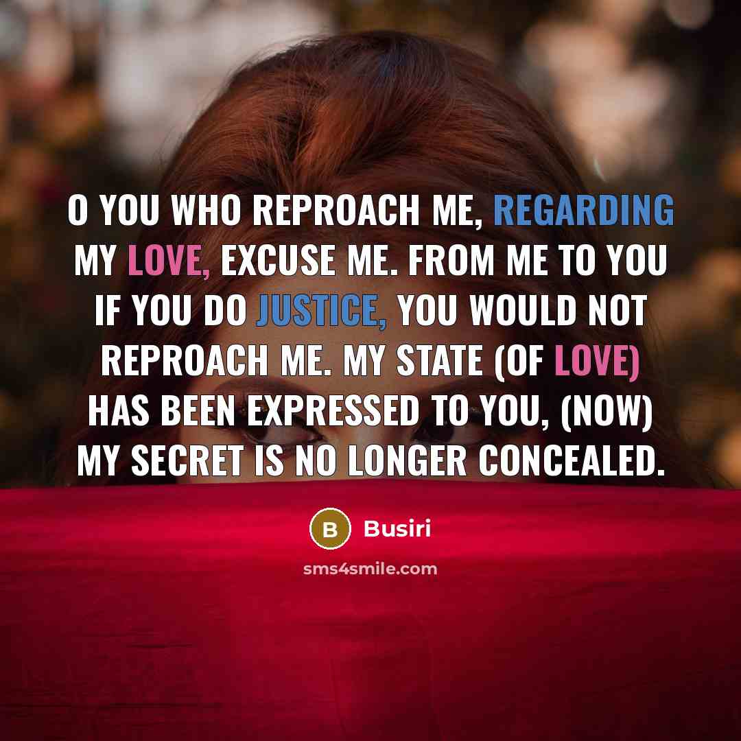 “O you who reproach me, regarding my love, excuse me.…” quote by Busiri