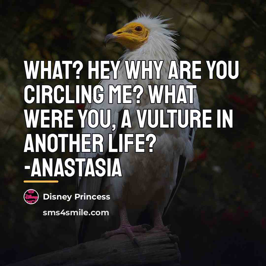 “What? Hey why are you circling me? What were you,…” quote by Disney Princess