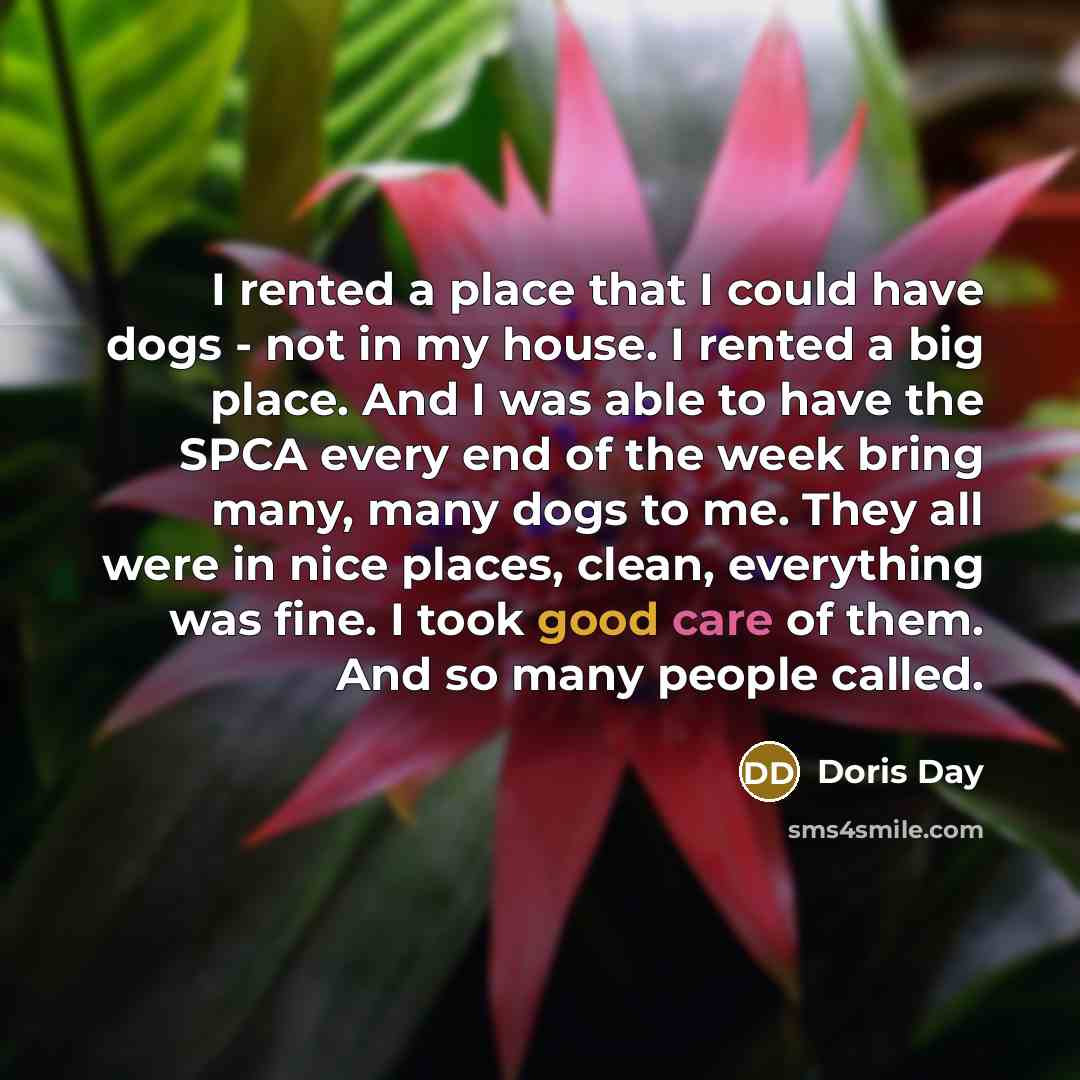 “I rented a place that I could have dogs -…” quote by Doris Day
