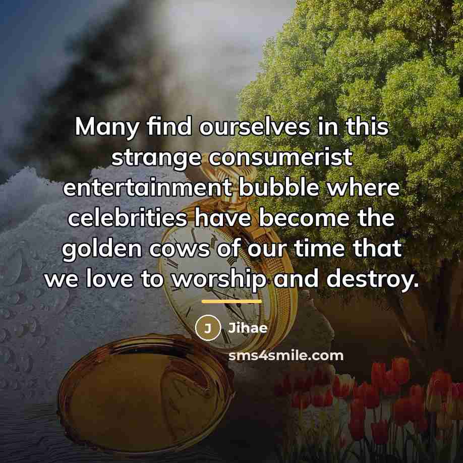 “Many find ourselves in this strange consumerist entertainment bubble where…” quote by Jihae