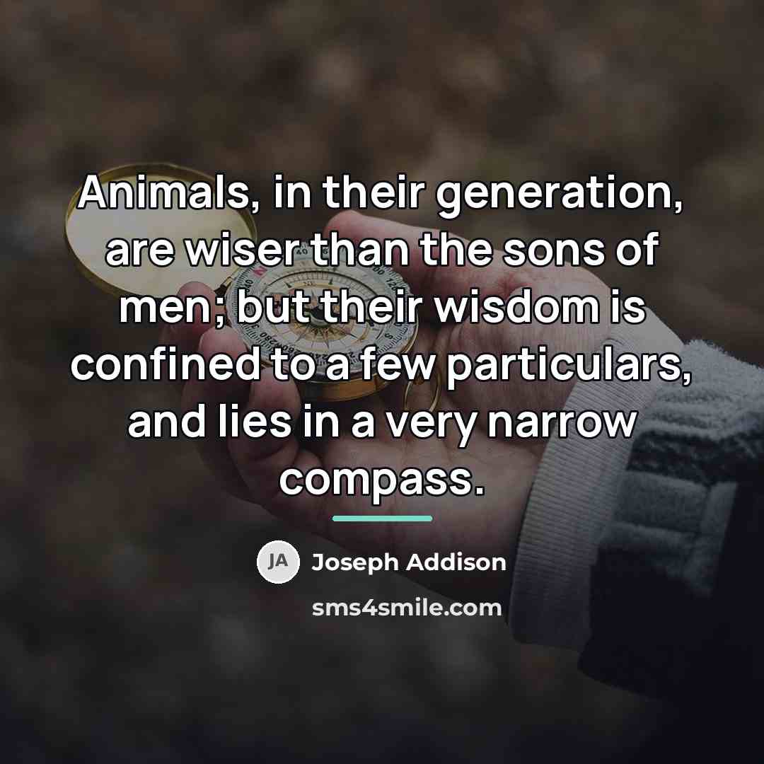 “Animals, in their generation, are wiser than the sons of…” quote by Joseph Addison