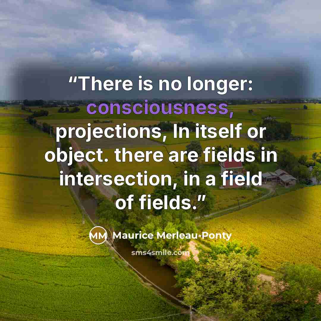 “There is no longer: consciousness, projections, In itself or object. there are fields in intersection, in a field of fields.” quote by Maurice Merleau-Ponty