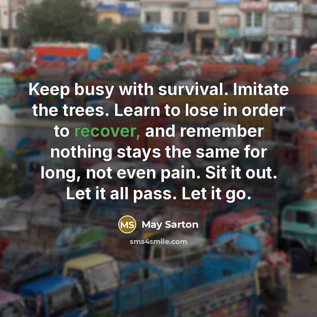 “Keep busy with survival. Imitate the trees. Learn to lose…” quote by May Sarton
