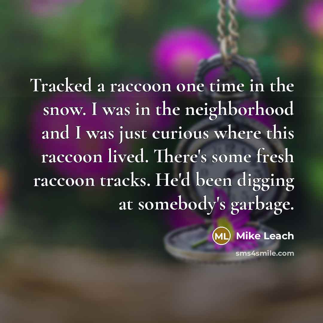 “Tracked a raccoon one time in the snow. I was…” quote by Mike Leach