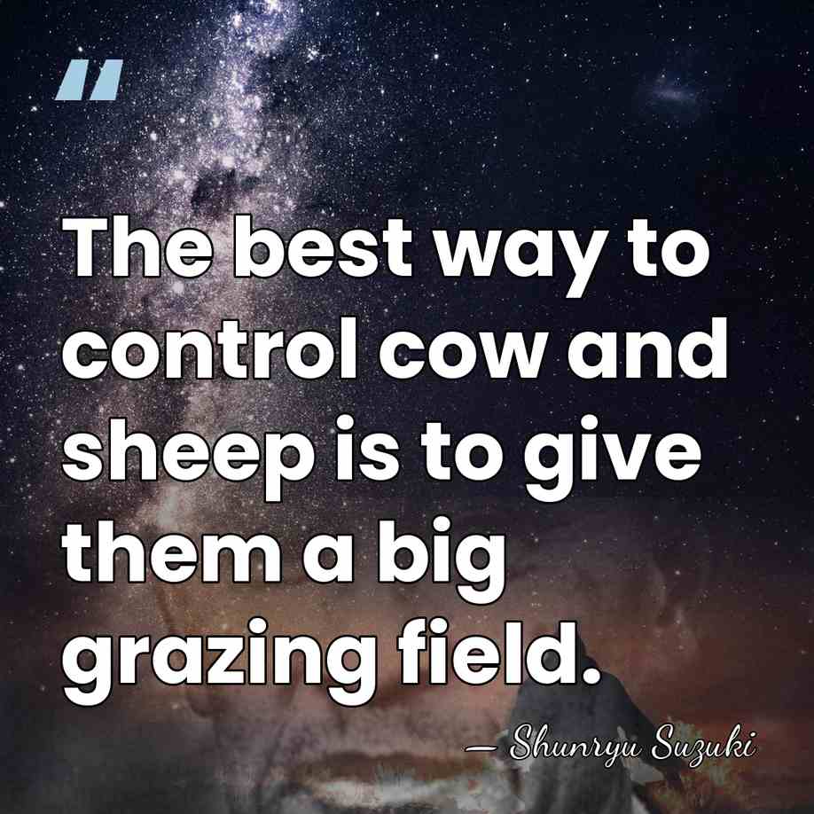 The best way to control cow and sheep is to give them&hellip; - Shunryu Suzuki