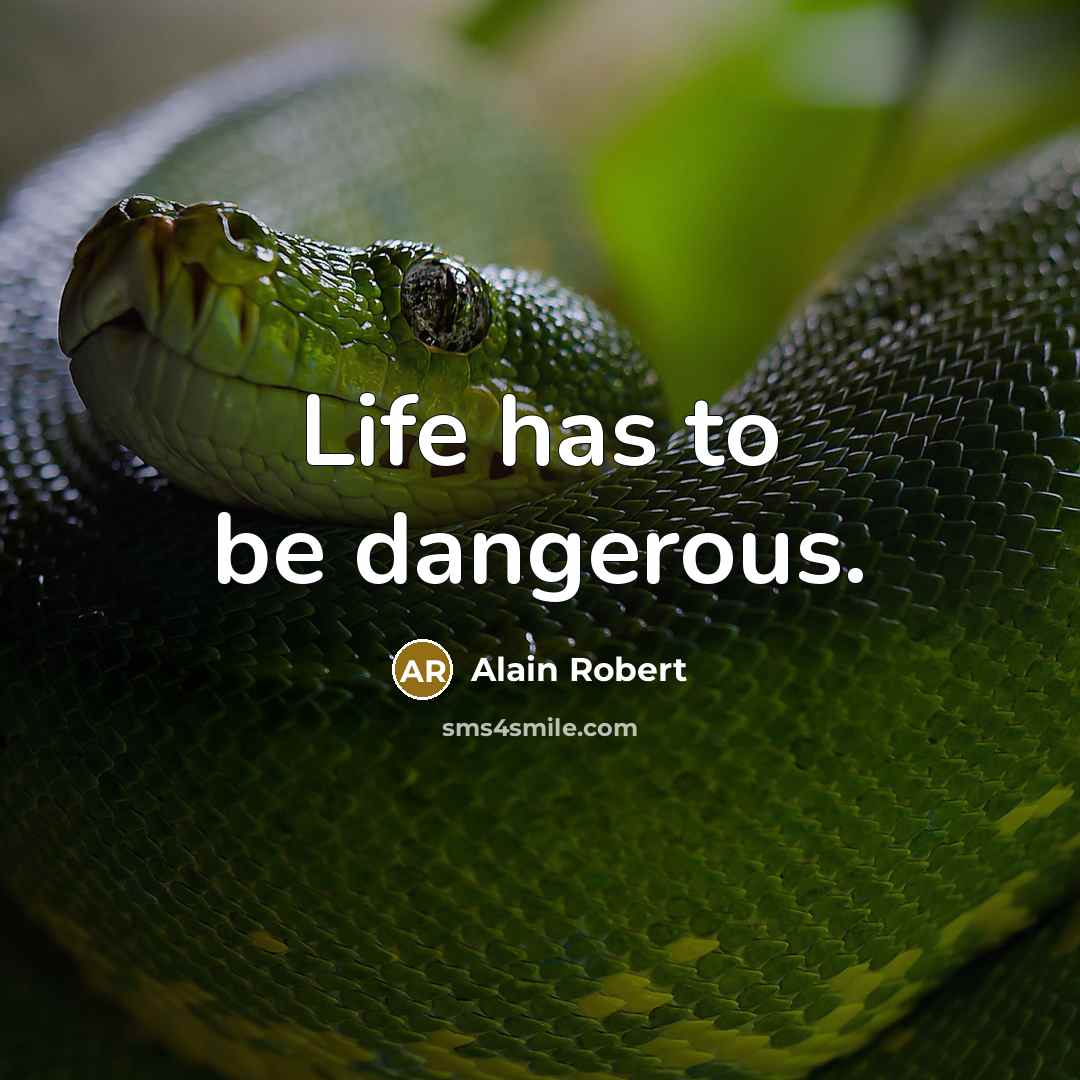 “Life has to be dangerous.…” quote by Alain Robert