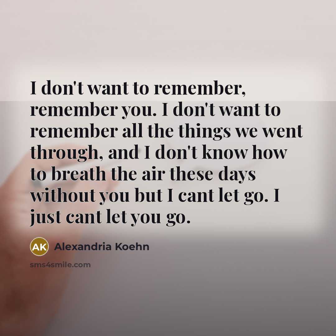 “I don't want to remember, remember you. I don't want to remember all the things we went through, and I don't know how to breath the air these days without you but I cant let go. I just cant let you go.” quote by Alexandria Koehn