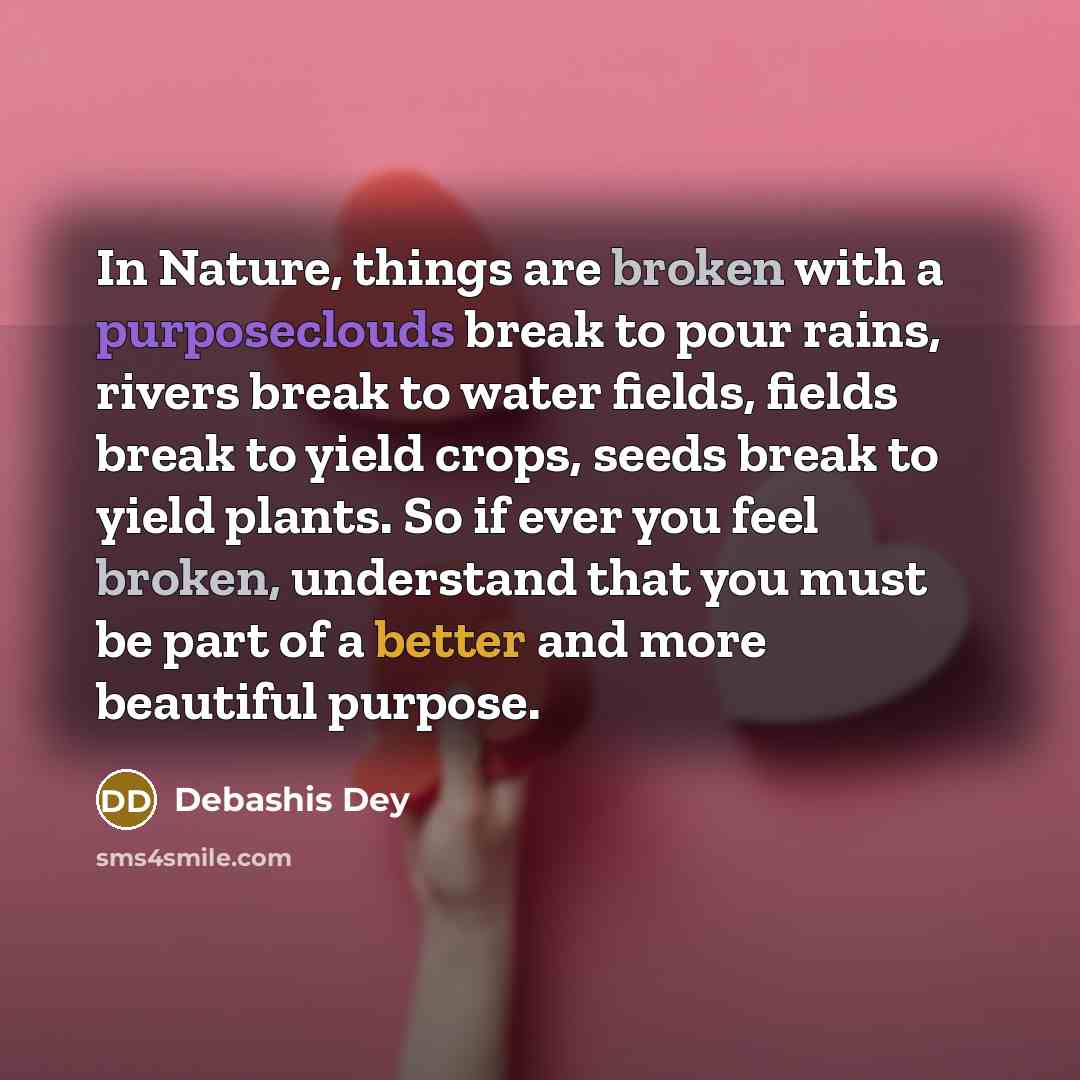 “In Nature, things are broken with a purposeclouds break to pour rains, rivers break to water fields, fields break to yield crops, seeds break to yield plants. So if ever you feel broken, understand that you must be part of a better and more beautiful purpose.” quote by Debashis Dey