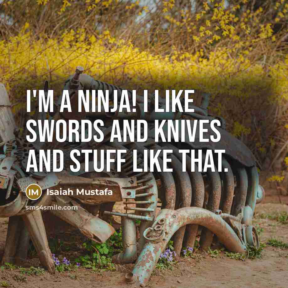 “I'm a ninja! I like swords and knives and stuff…” quote by Isaiah Mustafa