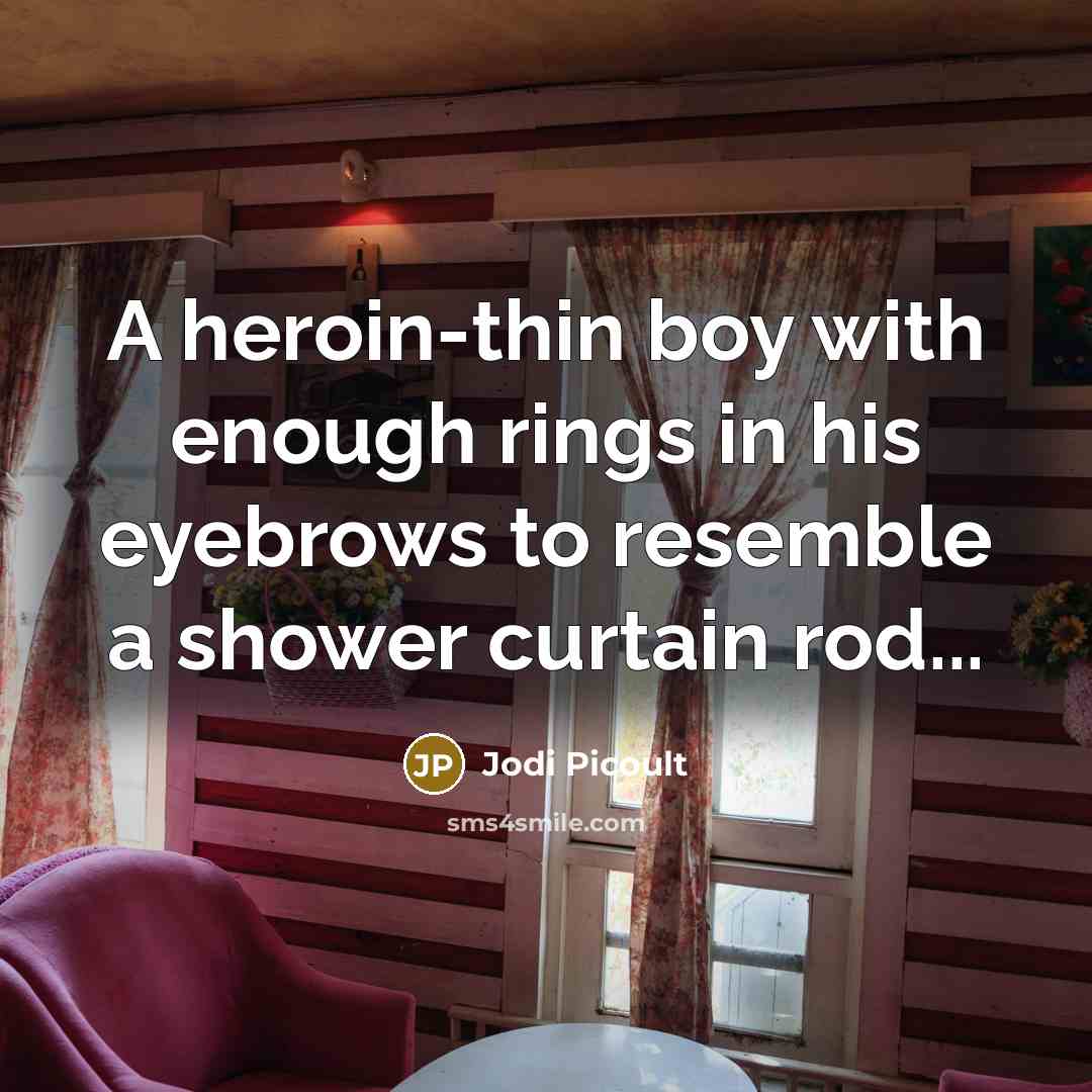 “A heroin-thin boy with enough rings in his eyebrows to…” quote by Jodi Picoult