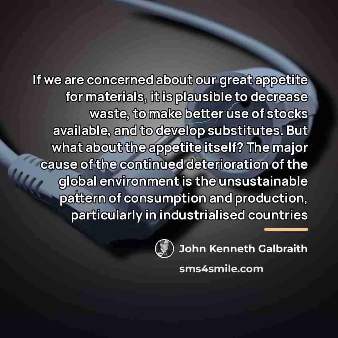 “If we are concerned about our great appetite for materials,…” quote by John Kenneth Galbraith