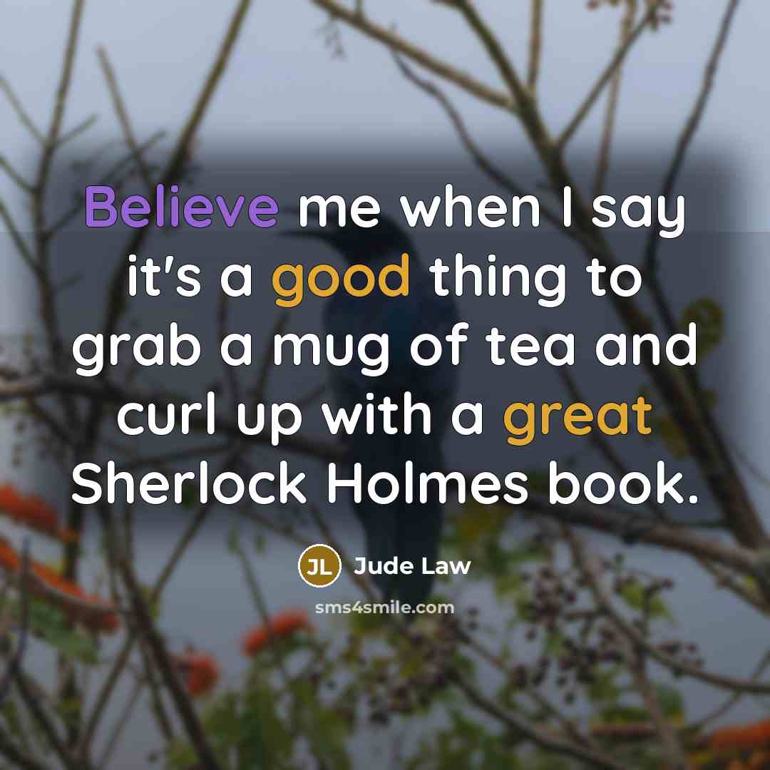 “Believe me when I say it's a good thing to grab a mug of tea and curl up with a great Sherlock Holmes book.” quote by Jude Law