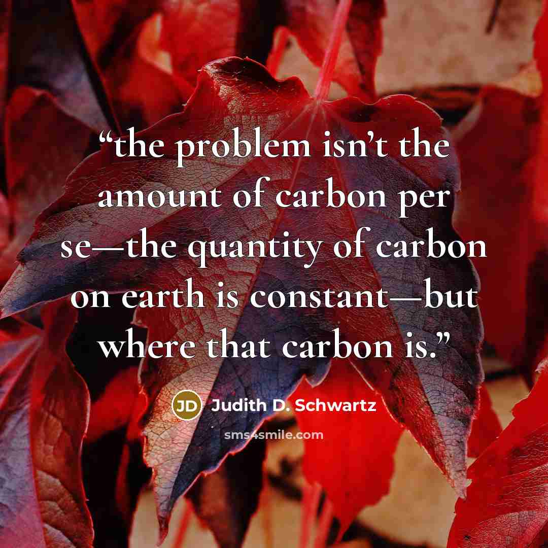 “the problem isn’t the amount of carbon per se—the quantity of carbon on earth is constant—but where that carbon is.” quote by Judith D. Schwartz