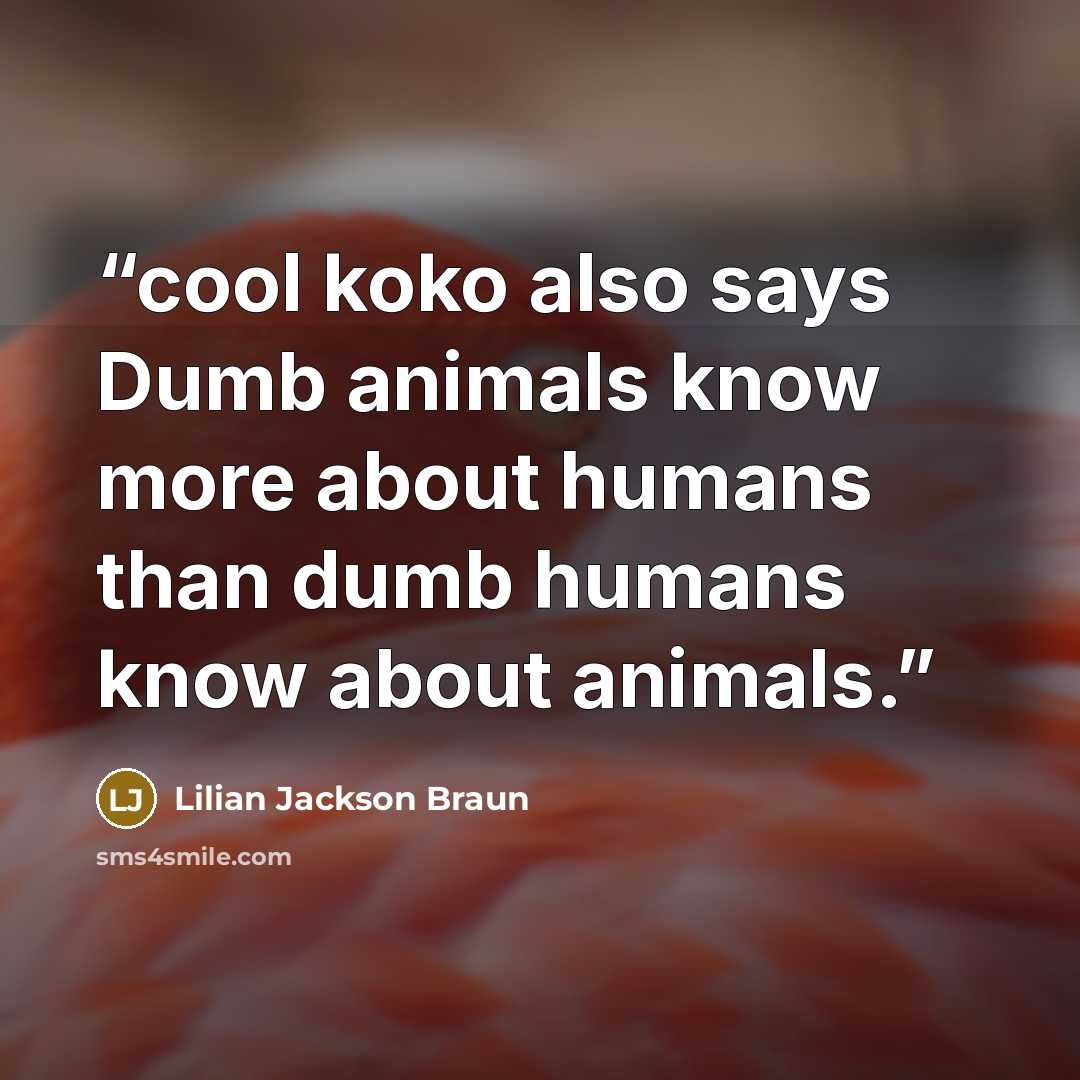 “cool koko also says Dumb animals know more about humans than dumb humans know about animals.” quote by Lilian Jackson Braun