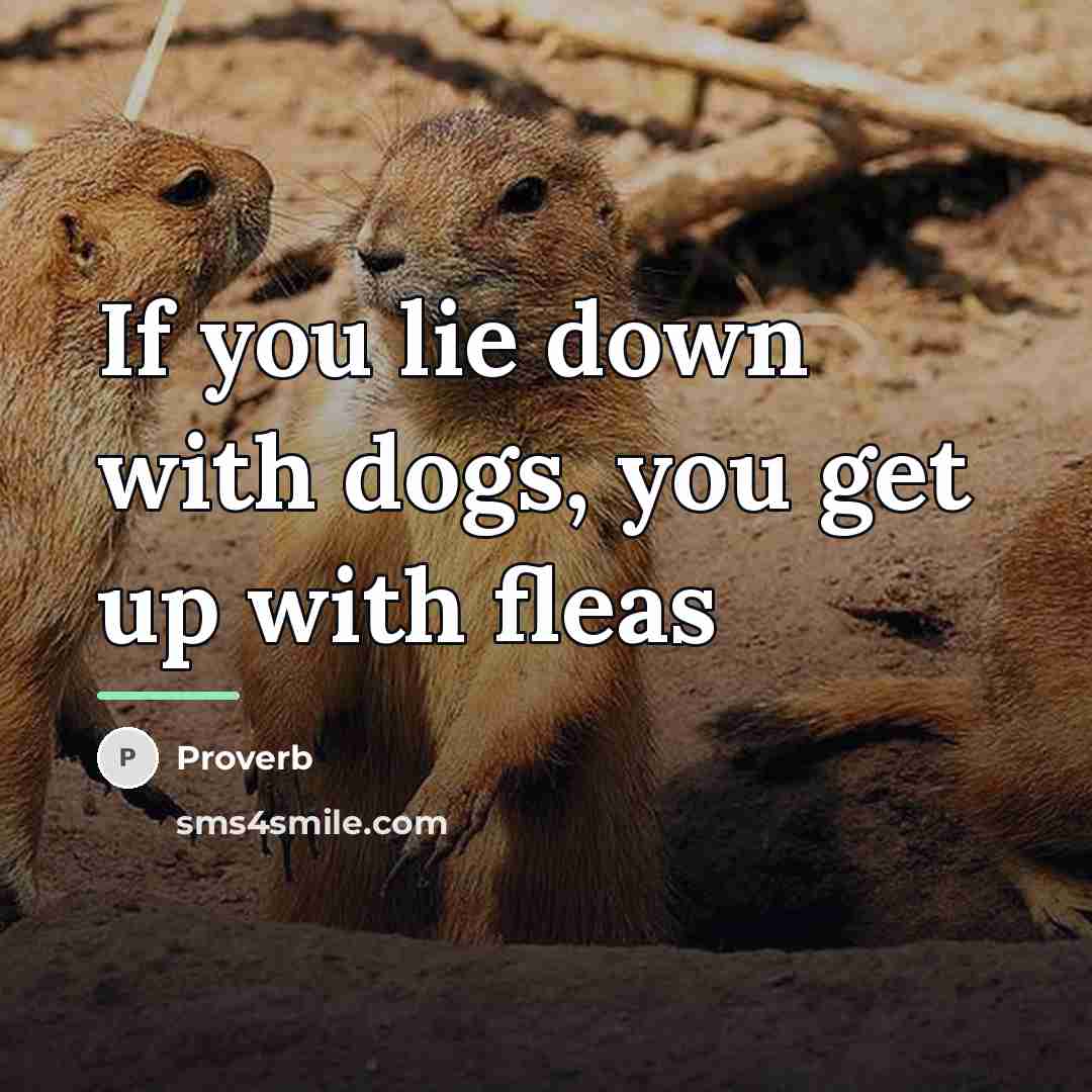 “If you lie down with dogs, you get up with…” quote by Proverb