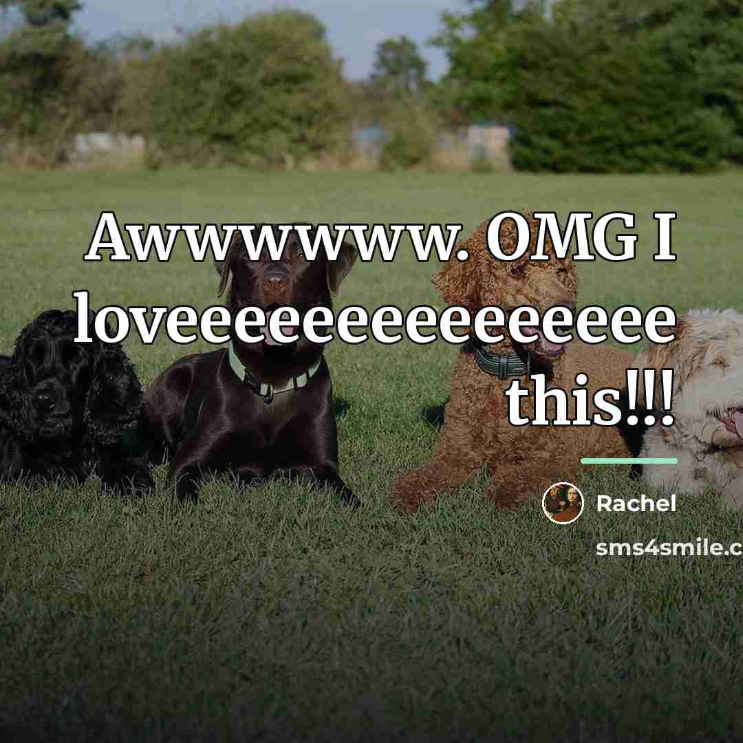 “Awwwwww. OMG I loveeeeeeeeeeeeeee this!!!…” quote by Rachel