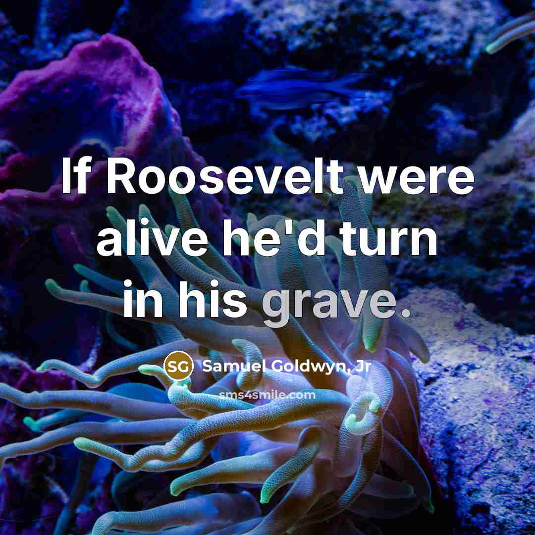 “If Roosevelt were alive he'd turn in his grave.…” quote by Samuel Goldwyn, Jr