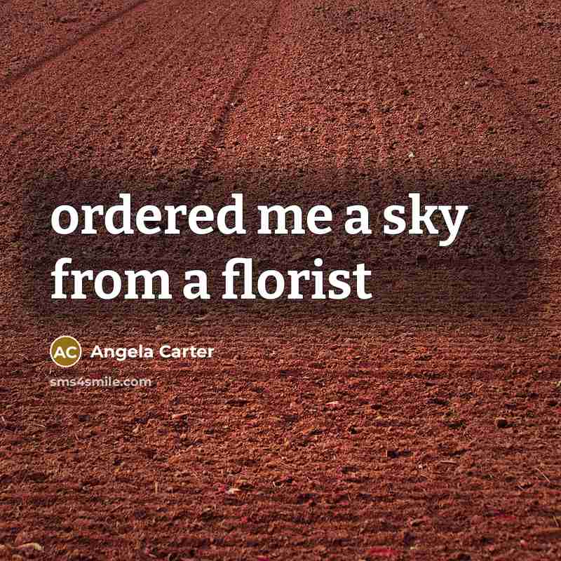 “ordered me a sky from a florist” quote by Angela Carter