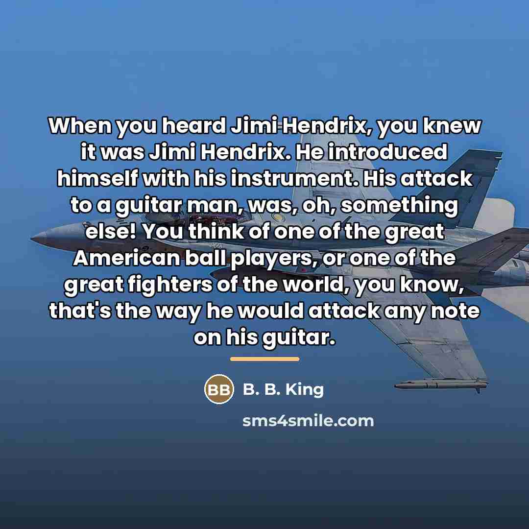 “When you heard Jimi Hendrix, you knew it was Jimi…” quote by B. B. King