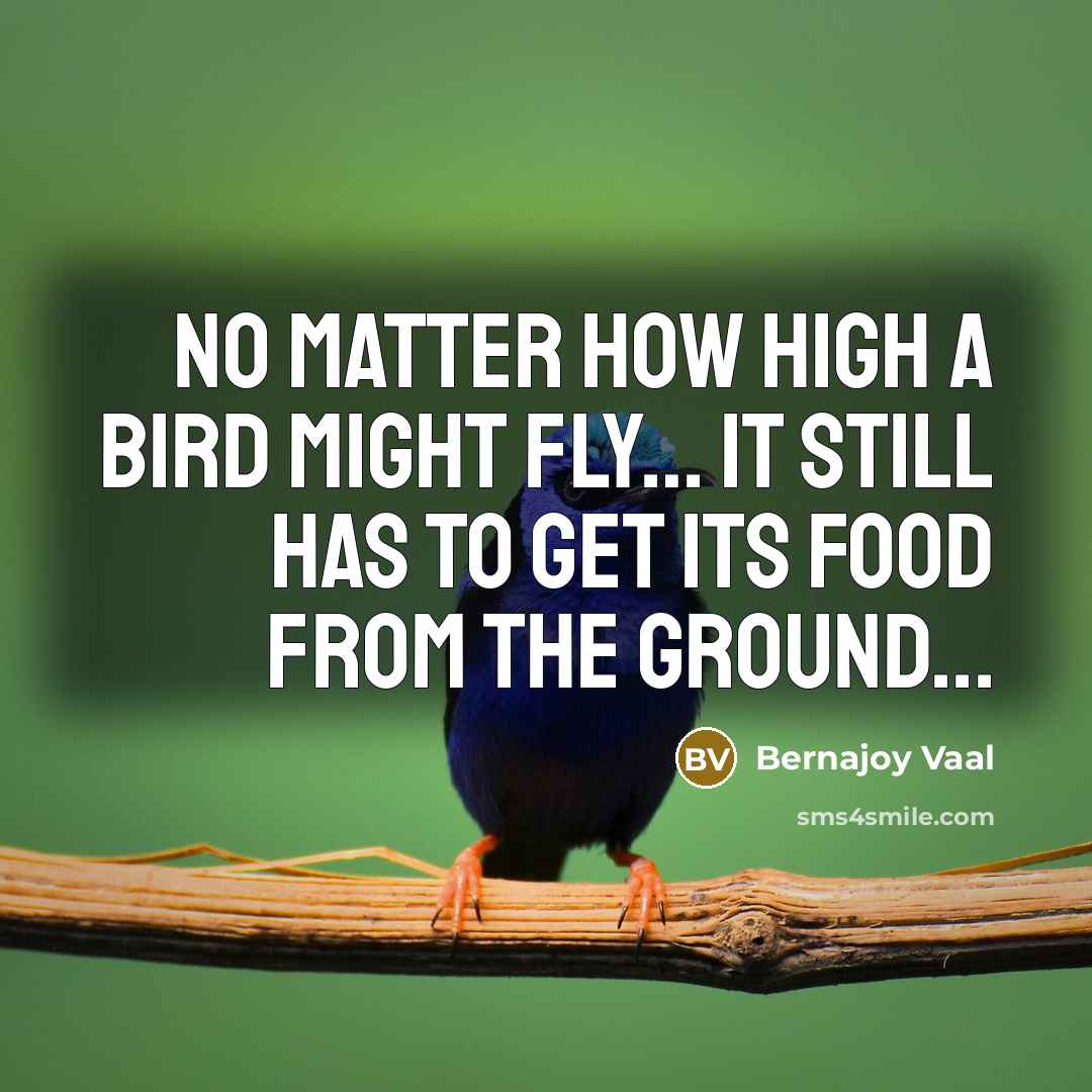 “No matter how high a bird might fly… it still has to get its food from the ground...” quote by Bernajoy Vaal