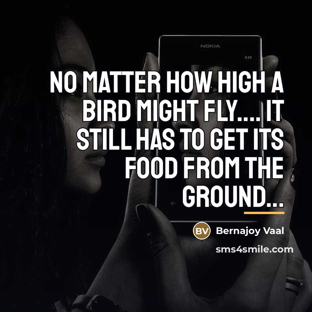 “No matter how high a bird might fly.... it still…” quote by Bernajoy Vaal