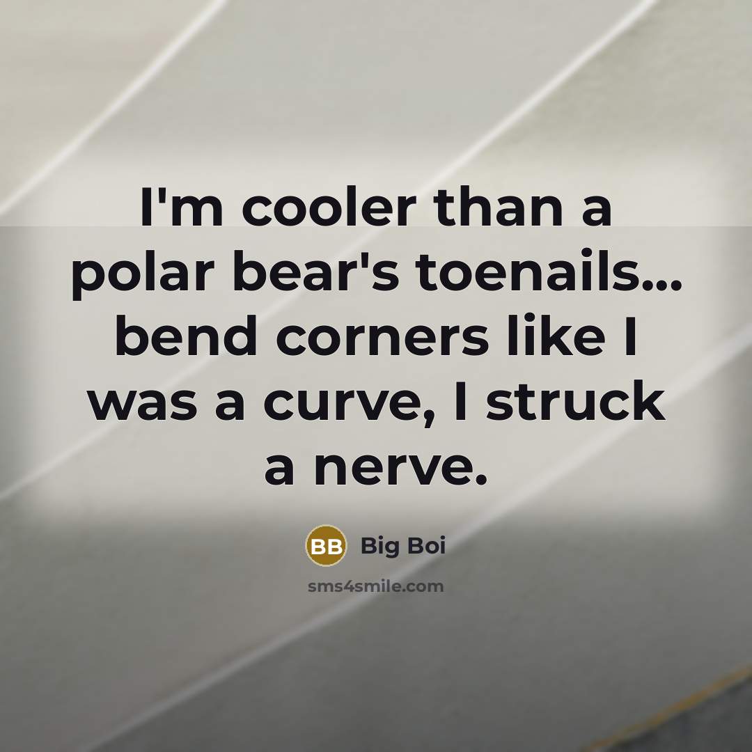 “I'm cooler than a polar bear's toenails... bend corners like…” quote by Big Boi