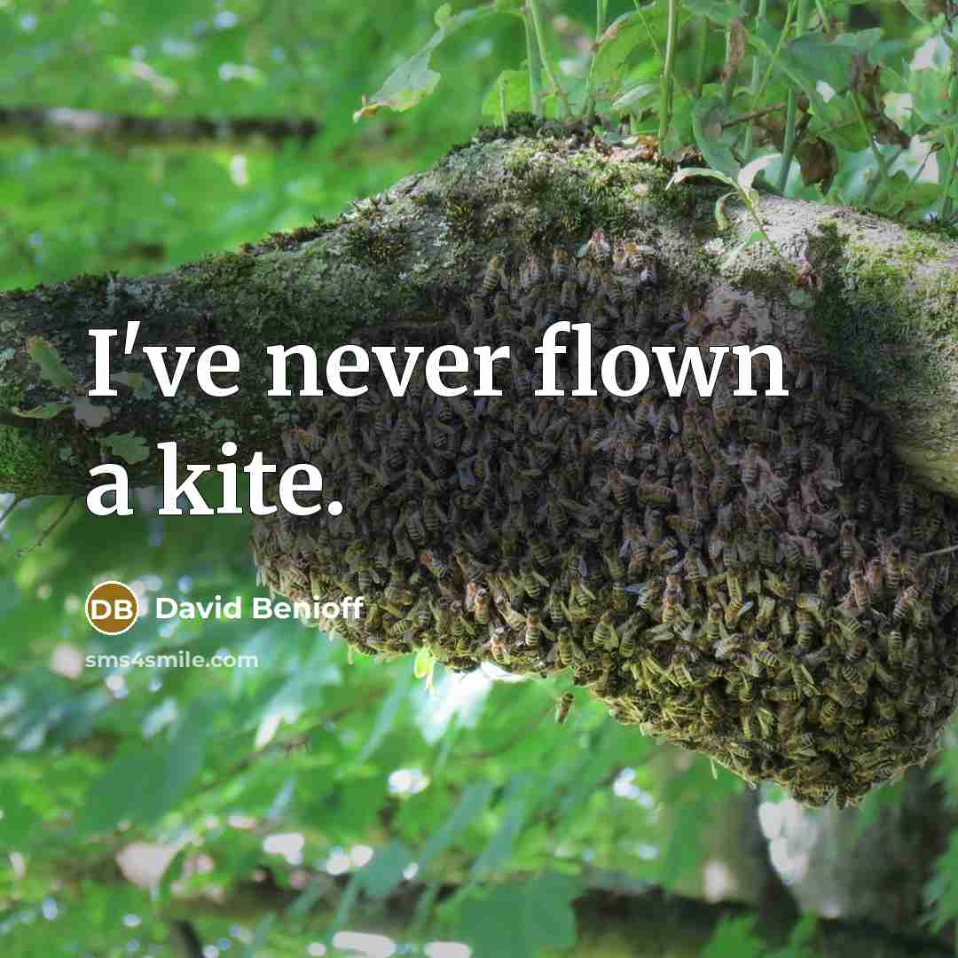 “I've never flown a kite.…” quote by David Benioff