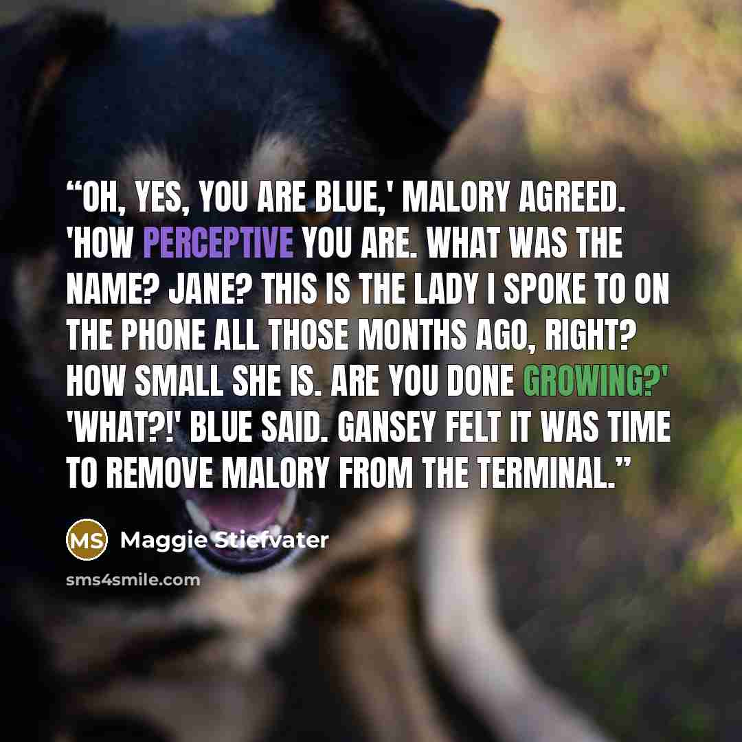 “Oh, yes, you are blue,' Malory agreed. 'How perceptive you are. What was the name? Jane? This is the lady I spoke to on the phone all those months ago, right? How small she is. Are you done growing?' 'What?!' Blue said. Gansey felt it was time to remove Malory from the terminal.” quote by Maggie Stiefvater