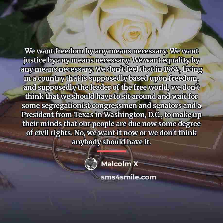 “We want freedom by any means necessary. We want justice…” quote by Malcolm X