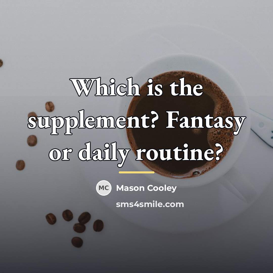 “Which is the supplement? Fantasy or daily routine?…” quote by Mason Cooley