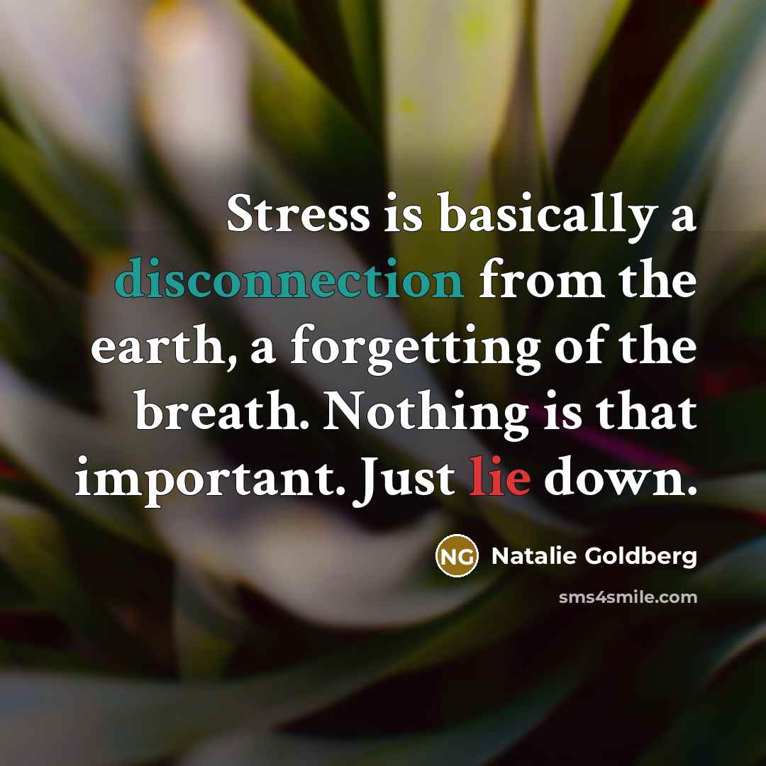 “Stress is basically a disconnection from the earth, a forgetting of the breath. Nothing is that important. Just lie down.” quote by Natalie Goldberg